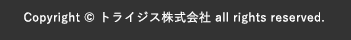 Cpoyright@トライジス株式会社 all rights reserved.
